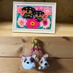 m-i-s-a-0919様専用ページダックス　コーギー　パピヨン