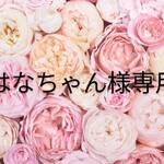 はなちゃん様専用