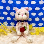 ✨『苺大好きて…♥️(*ΦωΦ)🍓』✨世界で１匹のあみぐるみねこちゃん❤️(ピンク)