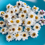 花かんざし　ヘッド　20輪