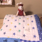 ☆　hinamaru…さま専用　☆