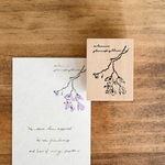 瑠璃柳 - Waxyleaf nightshade - [ラバースタンプ(樺台木)]