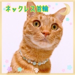 猫の首輪🐈ブルーベリービーズ✨ネックレス首輪♡肉球チャーム🐾