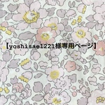 【yoshisae1221様専用ページ】おやつ・マスクケース