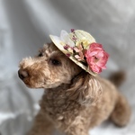 麦わら帽子👒ローズ