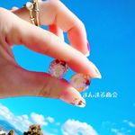 【お花のつぶやき❁⃘*.ﾟ】金属アレルギー対応サージカルステンレスピアス、イヤリング可