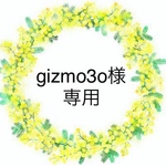 gizmo3o様専用