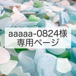 aaaaa-0824様専用ページ