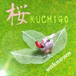 桜KUCHIGO(春限定)