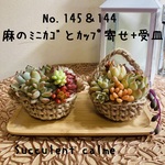 受皿付き２点セット★麻のミニカゴとミニカップ多肉寄せ植え☆