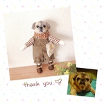 eri…様専用♡お着替えセット・おめかしわんこドール『うちの子オーダー』(mii wool&wool)