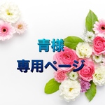 青様専用ページ