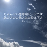 じゅんぺい様専用ページです❣️接触冷感生地使用❣️夏用立体レースマスク☆白☆グレージュ