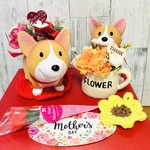 2022NEW母の日💐コーギーちゃんセット🐶💕