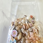 天然貝殻　シェル　アソート　素材　小−4  30g  沖縄　海