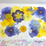 ♡new♡作家様必見♡押し花MIXセット♡押し花セット
