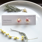 ペッパーベリー＊ドライフラワーピアス＊花ピンク