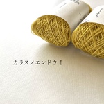 ⑯－1  烏野豌豆染め  20/3