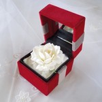 Jewelry Box　Red