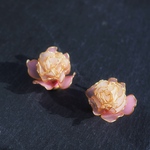ー耳飾りー　花笑む芍薬