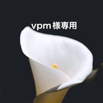 vpm様専用カート