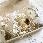 ナッツ木の実＊ハーバリウム　花材ドライフラワー  花材詰め合わせセット＊ハーバリウム　花材ドライフラワー　花材詰め合わせセット