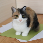 ふんばる三毛ねこ