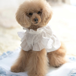 犬服　刺繍レースのスモック　オーダー