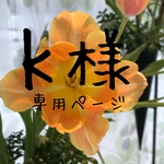 マスクネックストラップ