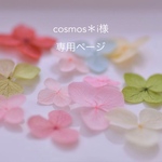 cosmos＊i様　専用ページ