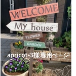 apricot-3様専用ページ