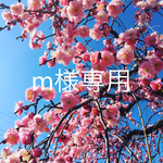 m様専用☆