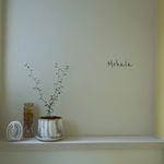 ちっちゃな葉♡　ソフォラ リトルベイビー　植木鉢入り　受け皿セット　観葉植物