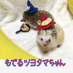 のねずみさん帽子　2022