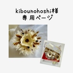 kibounohoshi様の専用ページ