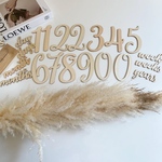 売切SALE🤎木製 月齢カード　レターバナー