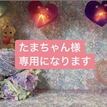 たまちゃん様専用になります。