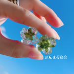 【アナベルの氷🧊】金属アレルギー対応サージカルステンレスピアス、イヤリング可