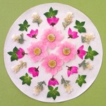 押し花セットH＜組み立てのお花、ボロニア、ププレリウム他＞
