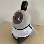 ラボット用　体操着　シンプルライン　紺✕白✕水色