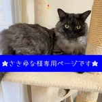 さきゆな様専用ページです