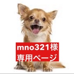 専用ページ