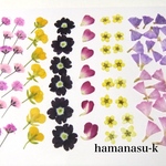 ［押花素材50】小さい花　６種　レジン
