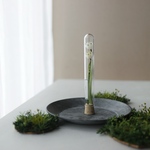 Botanical tube  スノーフレーク 
