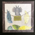サザナミインコ　マルチクリーナー　セピア