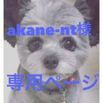 ★akane-nt様専用ページ