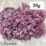 【約20g】ピンクパープル　アジサイ　花材　プリザーブドフラワー