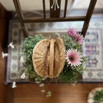 かわいい蓋つきウィッカーバスケットの寄せ植え♡/花の寄せ植え