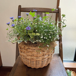 360度どこから見てもかわいい♪ふわんふわんのかすみ草と青いお花の寄せ植え