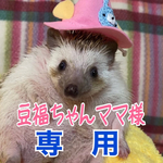 こちらは豆福ちゃんママ様専用